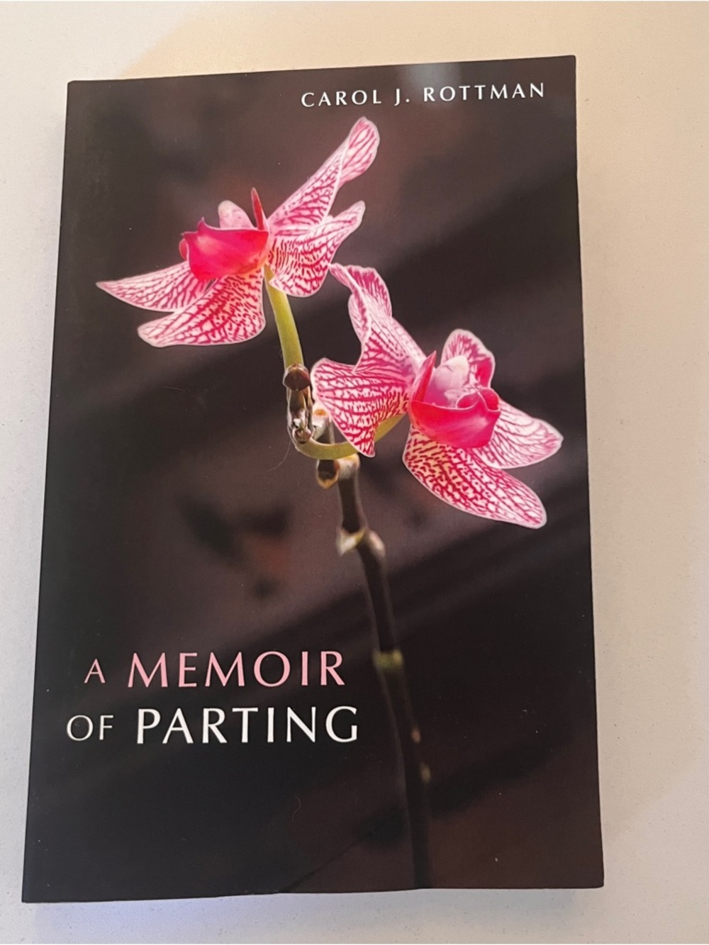 A Memoir of Parting by Carol J. Rottman Paperback Biography Grief & Caregiving